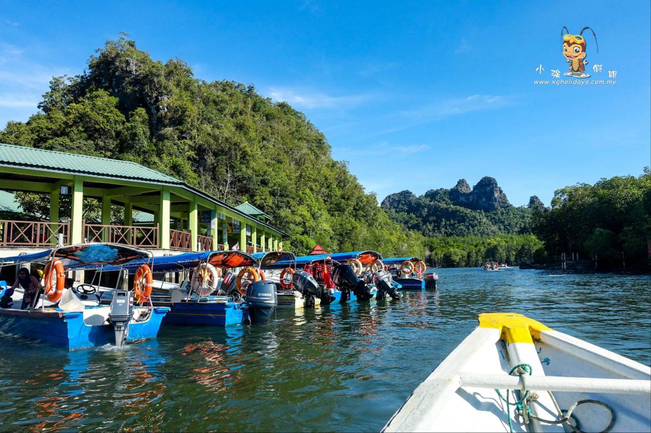 Jelajahi Mangrove Langkawi: Tur yang Menakjubkan di Hutan Pesisir yang Menawan